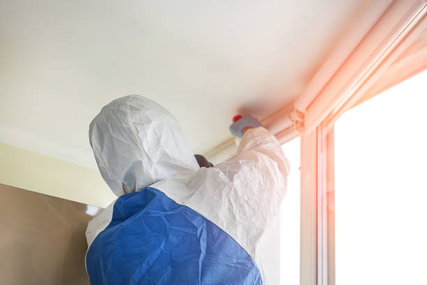 Best Asbestos and Lead Testing During Mold Inspection  in Seminole, FL